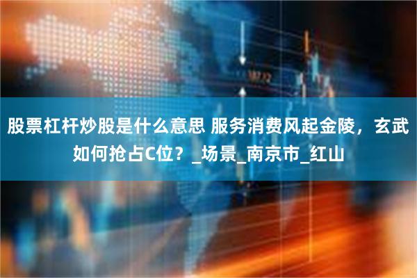 股票杠杆炒股是什么意思 服务消费风起金陵，玄武如何抢占C位？_场景_南京市_红山