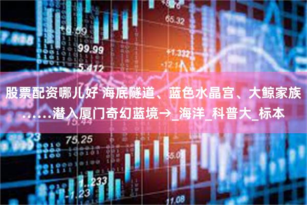 股票配资哪儿好 海底隧道、蓝色水晶宫、大鲸家族……潜入厦门奇幻蓝境→_海洋_科普大_标本