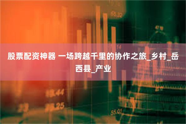 股票配资神器 一场跨越千里的协作之旅_乡村_岳西县_产业