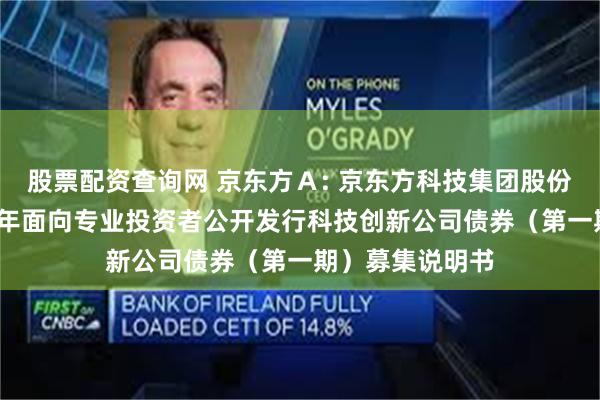 股票配资查询网 京东方A: 京东方科技集团股份有限公司2025年面向专业投资者公开发行科技创新公司债券(第一期)募集说明书