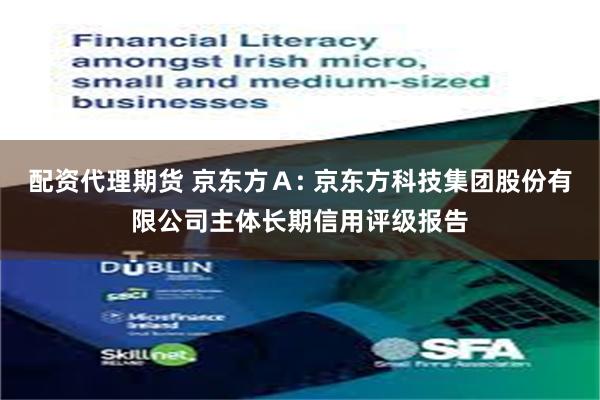 配资代理期货 京东方A: 京东方科技集团股份有限公司主体长期信用评级报告