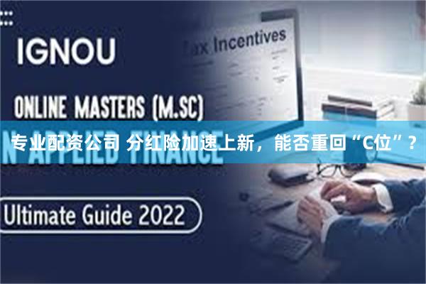 专业配资公司 分红险加速上新,能否重回“C位”?