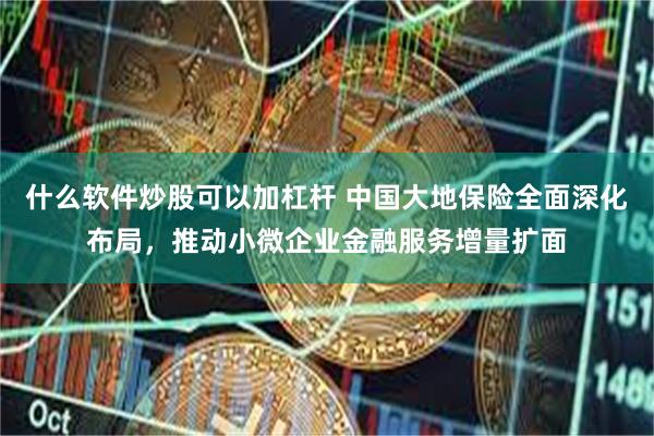 什么软件炒股可以加杠杆 中国大地保险全面深化布局,推动小微企业金融服务增量扩面