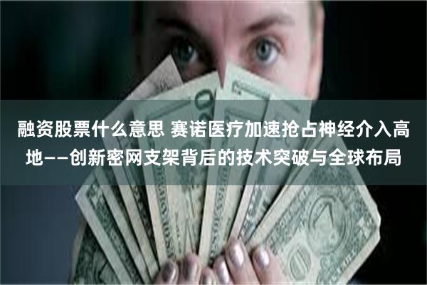 融资股票什么意思 赛诺医疗加速抢占神经介入高地——创新密网支架背后的技术突破与全球布局