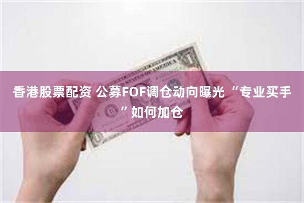 香港股票配资 公募FOF调仓动向曝光 “专业买手”如何加仓