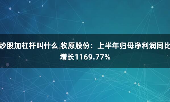 炒股加杠杆叫什么 牧原股份：上半年归母净利润同比增长1169.77%