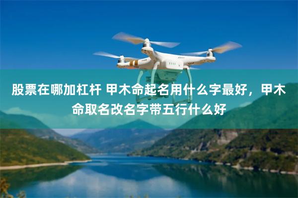 股票在哪加杠杆 甲木命起名用什么字最好,甲木命取名改名字带五行什么好