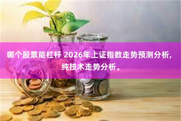 哪个股票能杠杆 2026年上证指数走势预测分析, 纯技术走势分析。