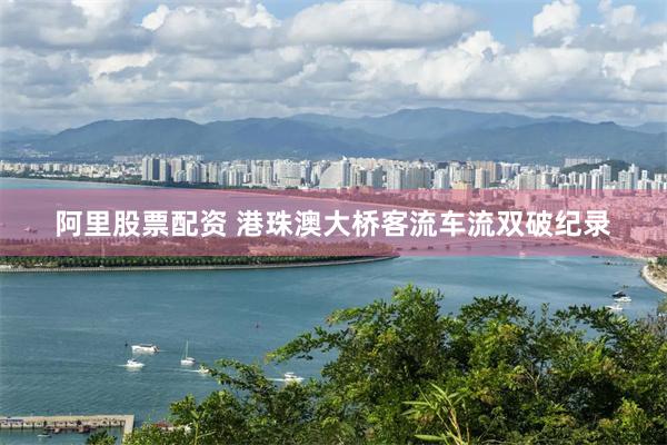 阿里股票配资 港珠澳大桥客流车流双破纪录