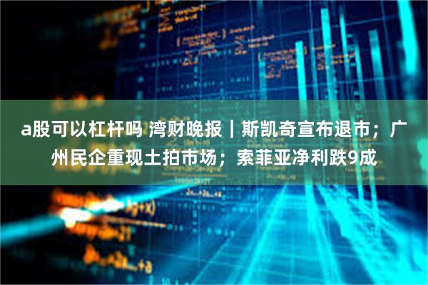 a股可以杠杆吗 湾财晚报｜斯凯奇宣布退市；广州民企重现土拍市场；索菲亚净利跌9成