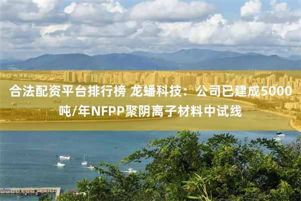 合法配资平台排行榜 龙蟠科技：公司已建成5000吨/年NFPP聚阴离子材料中试线