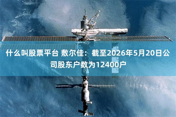 什么叫股票平台 敷尔佳：截至2026年5月20日公司股东户数为12400户