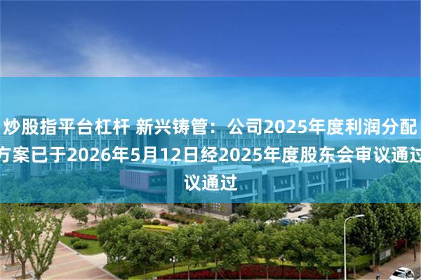 炒股指平台杠杆 新兴铸管：公司2025年度利润分配方案已于2026年5月12日经2025年度股东会审议通过