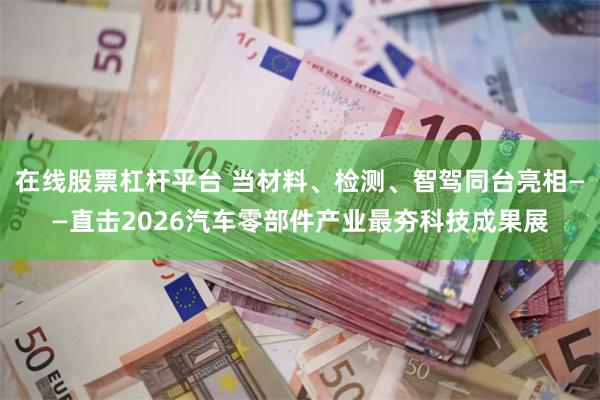 在线股票杠杆平台 当材料、检测、智驾同台亮相——直击2026汽车零部件产业最夯科技成果展