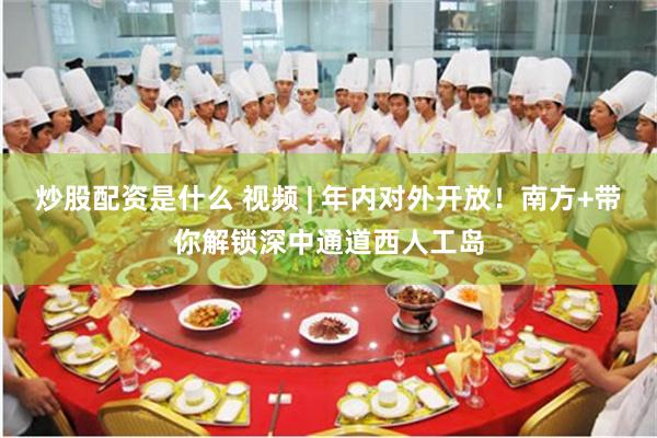 炒股配资是什么 视频 | 年内对外开放！南方+带你解锁深中通道西人工岛