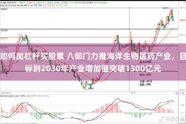 如何加杠杆买股票 八部门力推海洋生物医药产业，目标到2030年产业增加值突破1300亿元