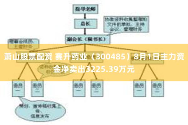 萧山股票配资 赛升药业（300485）8月1日主力资金净卖出3225.39万元