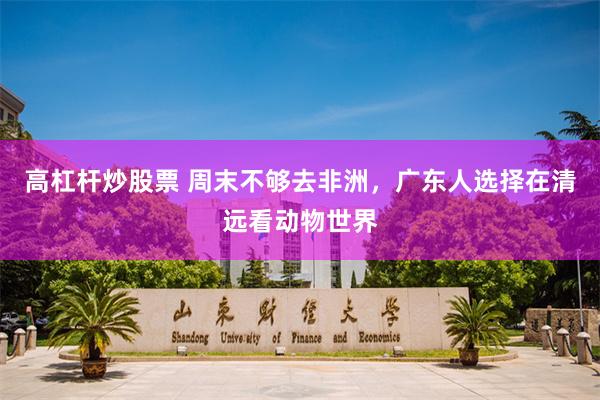 高杠杆炒股票 周末不够去非洲，广东人选择在清远看动物世界