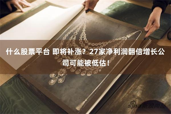 什么股票平台 即将补涨？27家净利润翻倍增长公司可能被低估！