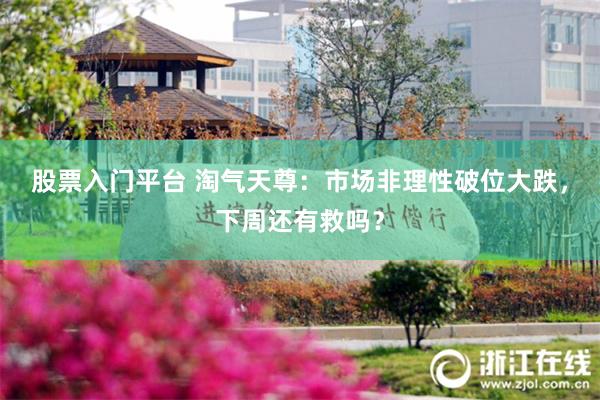 股票入门平台 淘气天尊：市场非理性破位大跌，下周还有救吗？