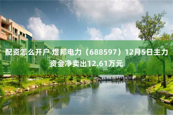配资怎么开户 煜邦电力（688597）12月5日主力资金净卖出12.61万元