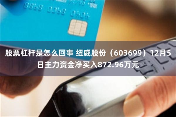 股票杠杆是怎么回事 纽威股份（603699）12月5日主力资金净买入872.96万元
